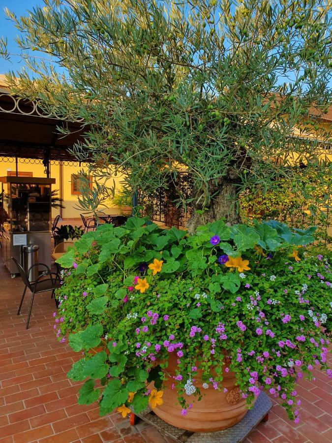 "La Terrazza Di Castiglione" Appartamenti Vacanza Castiglione della Pescaia Exteriér fotografie